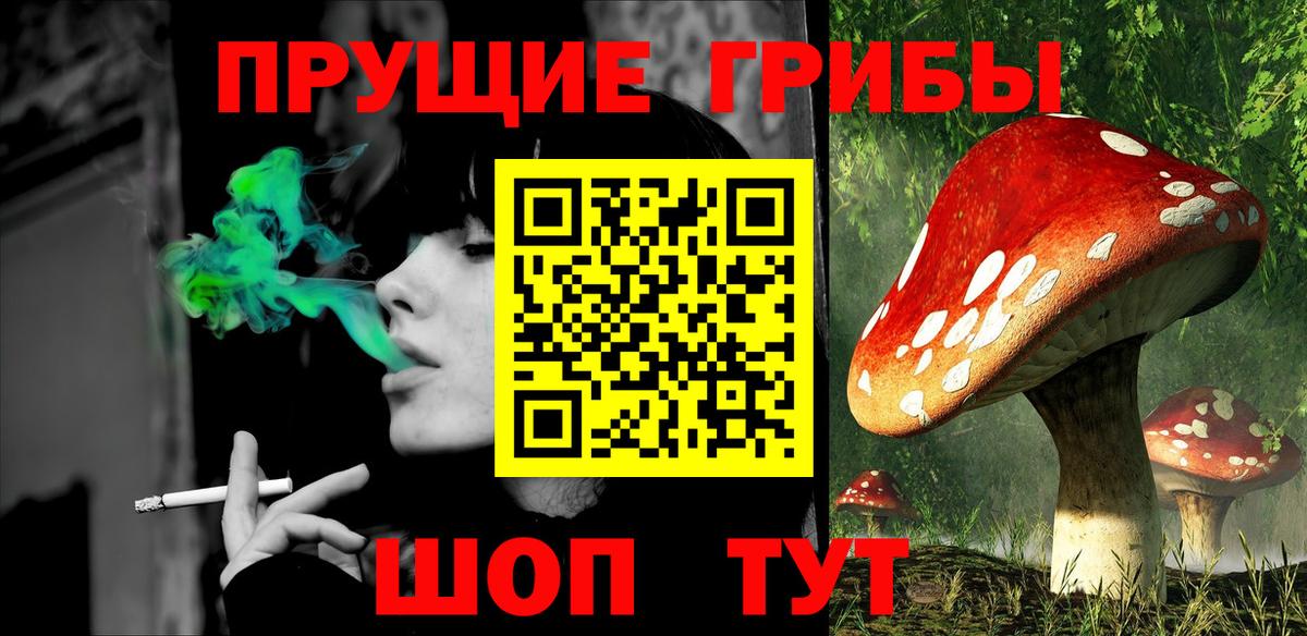 Саратов  Псилоцибиновые грибы прущие грибы  купить   Вход с VPN 